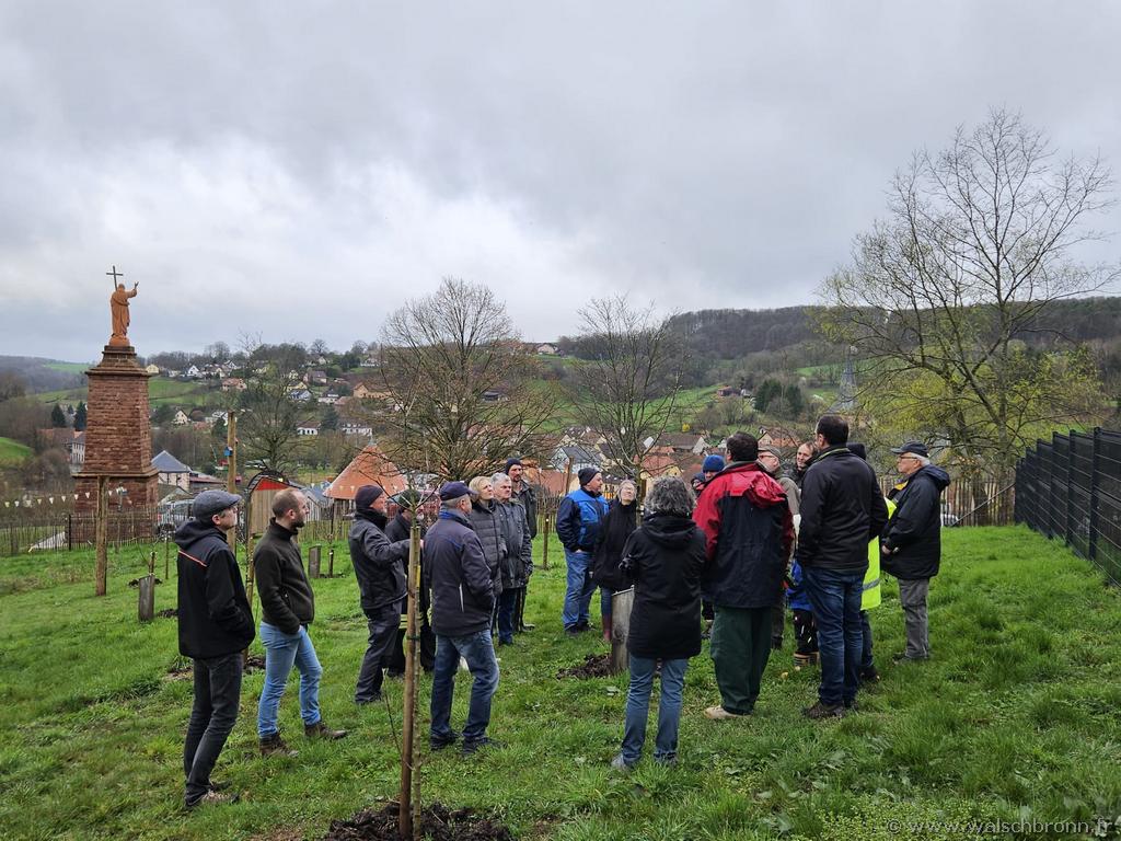 Cours de taille au verger pÃ©dagogique