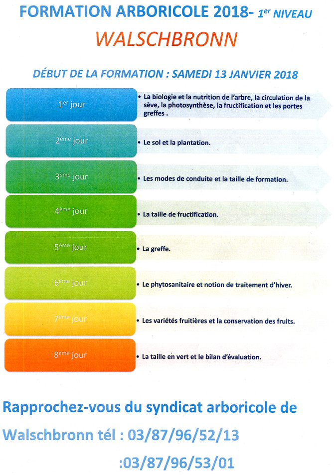 Formation arboricole 2018