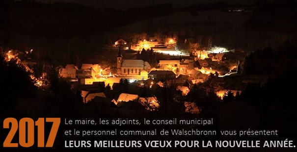 Voeux 2017